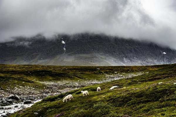 Hoe plan je de perfecte roadtrip door Nederland met kinderen?